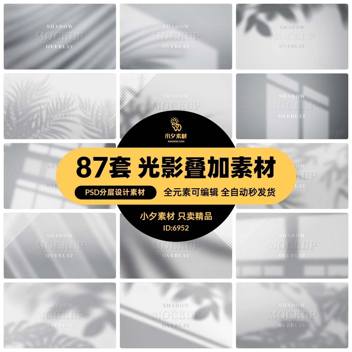 真实自然植物窗户投影光影阴影光斑效果背景ps摄影后期叠加素材