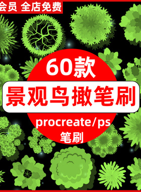 绿色景观园林花草树木植物平面立面鸟撖图procreate笔刷ps笔刷