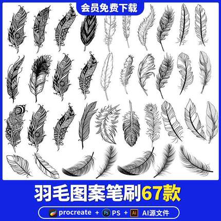 羽毛procreate笔刷ps笔刷唯美梦幻羽毛飘落散落后期特效ai素材