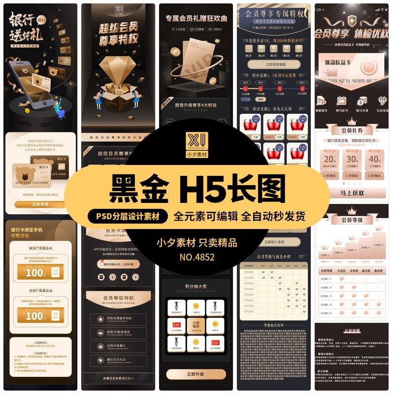 黑金风vip权益特权专区会员中心体检项目活动介绍h5ui长图psd素材