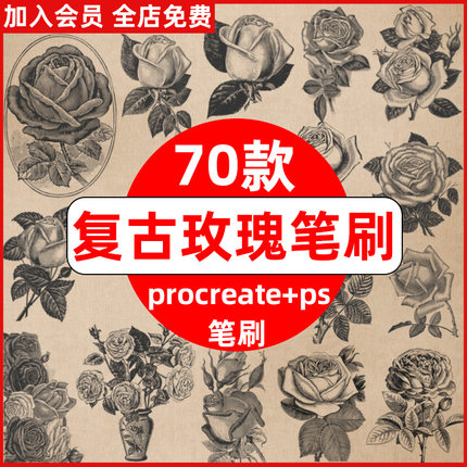 procreate笔刷ps笔刷欧式复古油画风玫瑰花朵花卉素描装饰插画