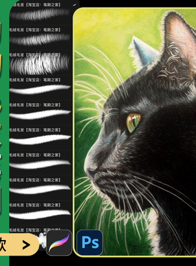 动物绒毛笔刷procreate笔刷ps笔刷毛发茸毛发丝猫狗皮毛纹理素材