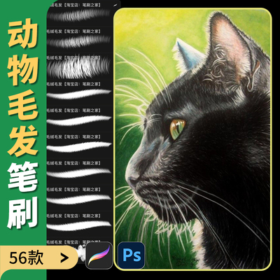 动物绒毛笔刷procreate笔刷ps笔刷毛发茸毛发丝猫狗皮毛纹理素材