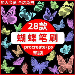梦幻仙气七彩蝴蝶飞舞笔刷装饰插画procreate笔刷和ps笔刷素材