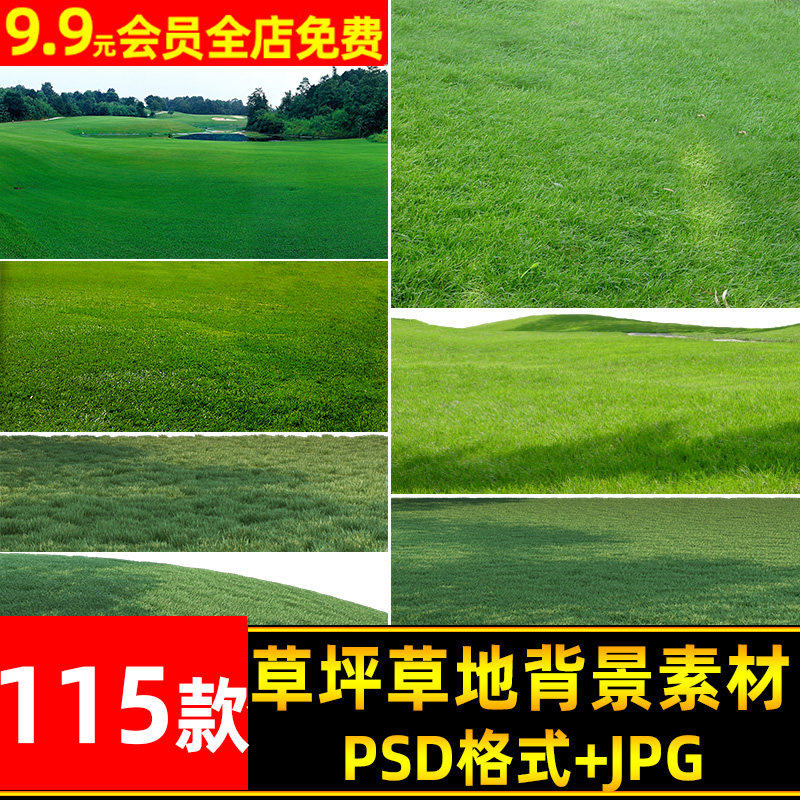 写实高清草坪草地草丛花境psd婚纱影楼后期修图ps合成背景素材