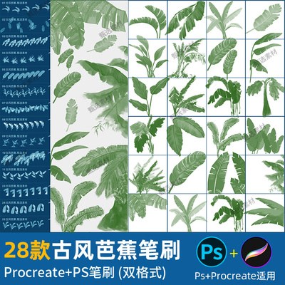 ps笔刷procreate笔刷水墨古风芭蕉叶子植物树叶手绘水彩插画唯美