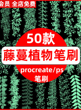 手绘绿色植物藤蔓攀爬藤条叶子蕨类装饰插画procreate笔刷ps笔刷