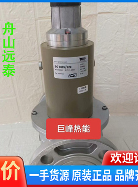 议价~SG50FS/220施能慢开电磁阀SG50RS/220 燃气