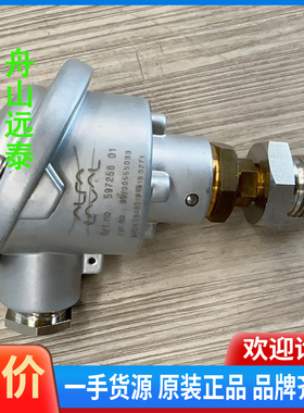 议价/阿法拉伐温度传感器，597256 01