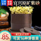 梦绾紫砂豆芽家用发豆芽机罐培育器发芽盆大容量豆牙生盆标准款