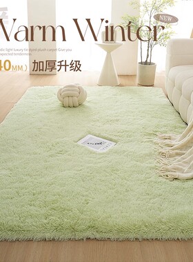 日本进口卧室地毯轻奢高级床边地垫毛毯客厅沙发长毛绿色地毯加厚