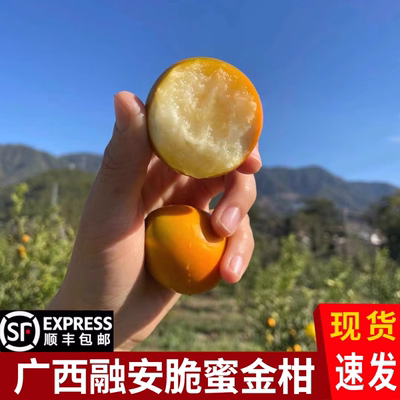 广西融安（脆蜜金柑）第三代大果脆蜜金桔纯甜官方独立装顺丰包邮