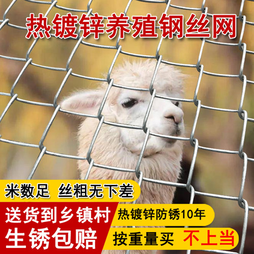 【足米足丝粗】钢丝网围栏护栏网