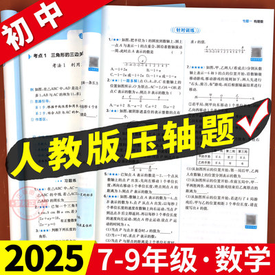 【2025秋】初中数学压轴题