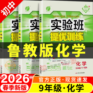 初中实验班提优训练2026春新鲁教版化学九上课时优化作业九年级上册下册全一册同步练习册一课一练初三必刷题母题专项强化训练山东