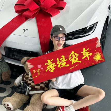 喜提新车仪式手拉横幅手举牌汽车4S店交车装饰kt板氛围感拍照道具