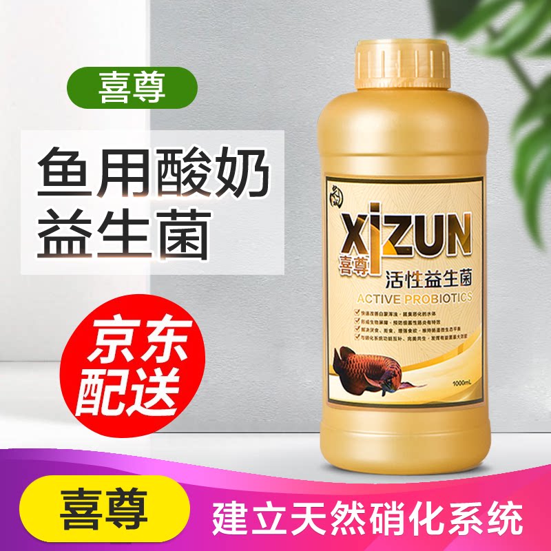 喜尊硝化细菌龙鱼酸奶益生菌水质稳定剂活力素能量源维他命净水剂