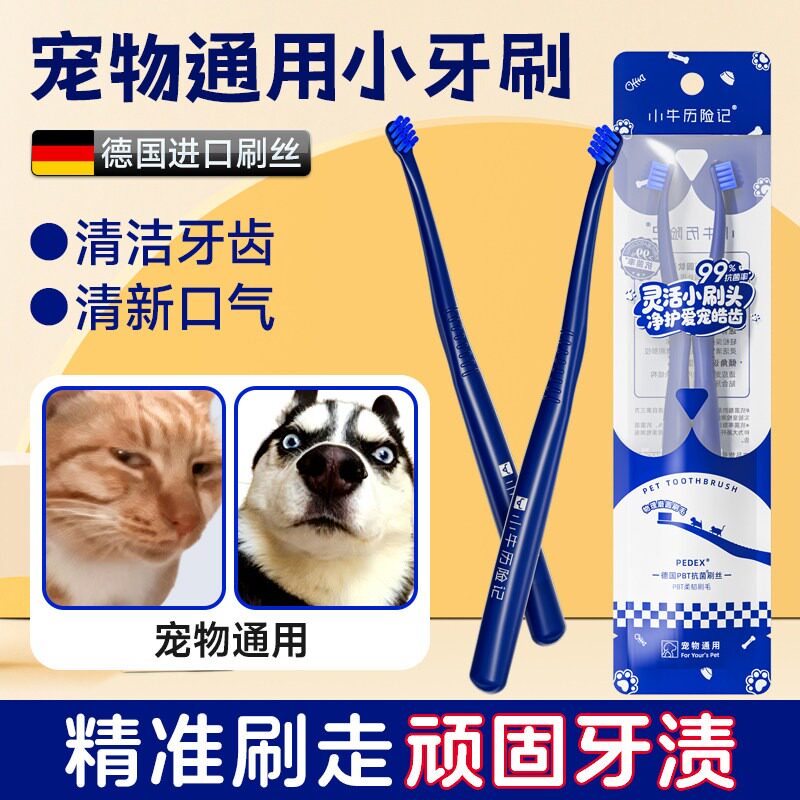 宠物牙刷小猫小狗狗牙刷小型犬猫