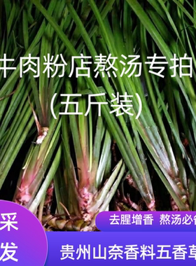 贵州新鲜山奈三奈5斤五香草香料茴香菖蒲随手奈鲜批发中药材
