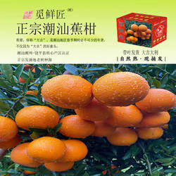 广东正宗潮州柑潮汕本地正宗焦柑新鲜年货大吉大利应季柑橘水果