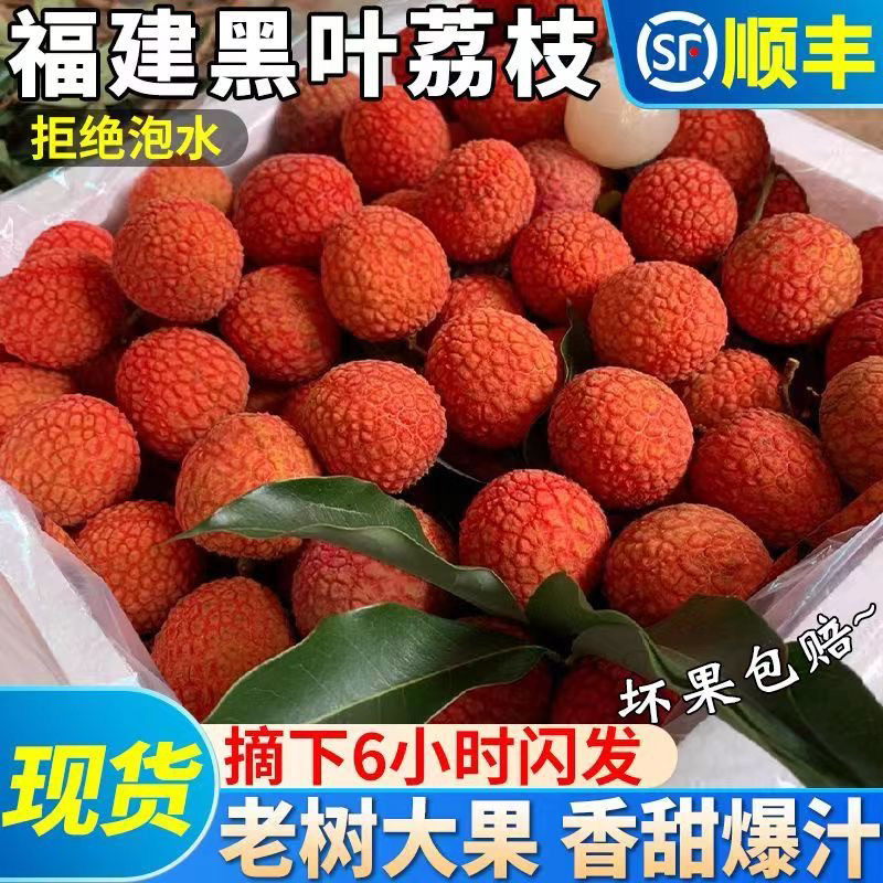 顺丰包邮广东黑叶荔枝新鲜5斤当季水果现摘现发鲜果乌叶老树大果