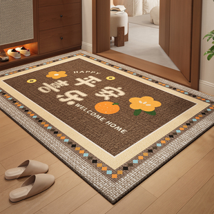 入户地垫门口进门专用耐脏防滑脚垫室内门厅入户地毯玄关大门门垫