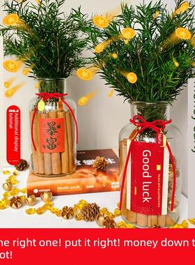 肉桂招财进宝装饰2025招财进宝神肉桂盛财富乔迁礼品办公室桌面装