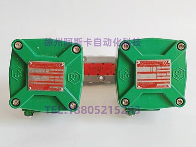 WSNF8551A422 NF8551G322 NF8551A422 隔爆电磁阀维修阀体