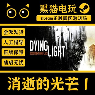 steam正版国区 消逝的光芒1 Dying Light 消失决定版 精要版 CDK