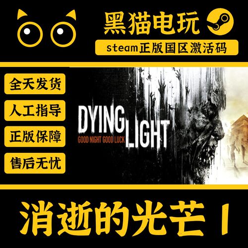 steam消逝的光芒正版国区激活码