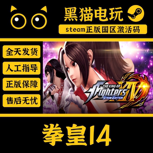 国区 STEAM XIV FIGHTERS KING 拳皇14HE Key 正版 steam
