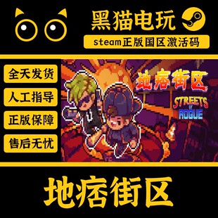 steam 正版 国区CDKey 地痞街区 Streets of Rogue 激活码 pc游戏
