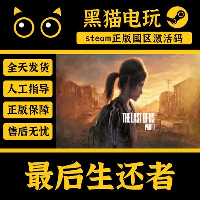 steam最后的生还者国区激活码