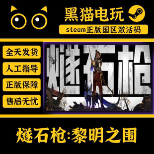steam 正版 国区key 燧石枪:黎明之围 激活码 PC端入库 CDKEY