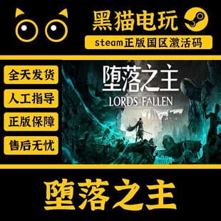 steam 正版 国区 堕落之主 CDKey 激活码 Lords of the Fallen