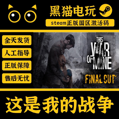 Steam正版这是我的战争国区CDkey