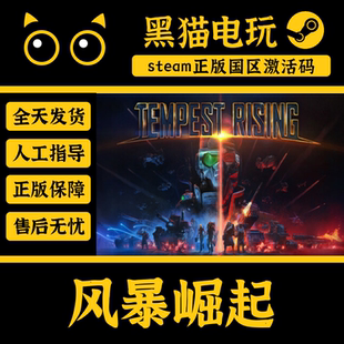 steam正版国区 风暴崛起Tempest Rising CDKey入库现货秒发激活码