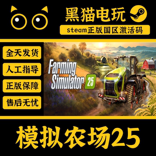 steam 正版 国区key 模拟农场25 Farming Simulator25 激活码入库