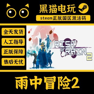 虚空dlc Key Rain Risk 国区 雨中冒险2 激活码 steam 正版