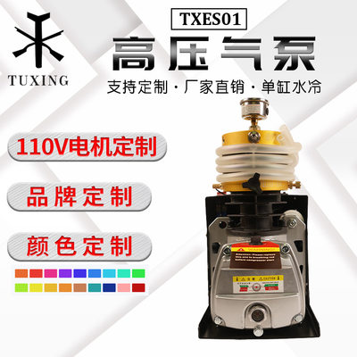 TUXING单缸高压打气机30mpa高压充气泵110v/220v air compressor