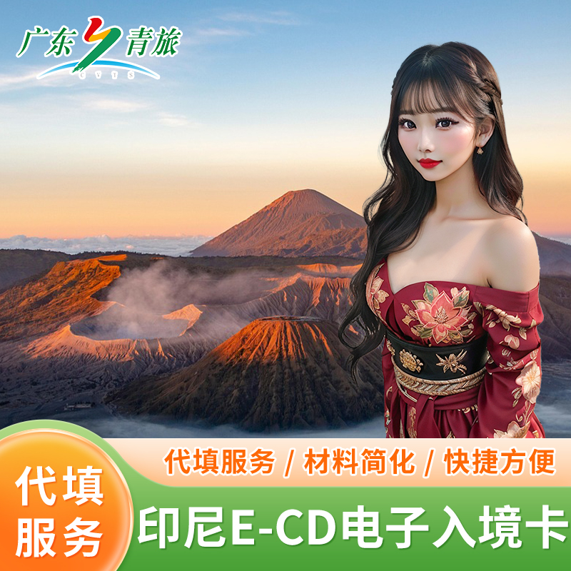 印尼电子入境卡30分钟雅加达代填印度尼西亚泗水巴厘岛入境卡E-CD