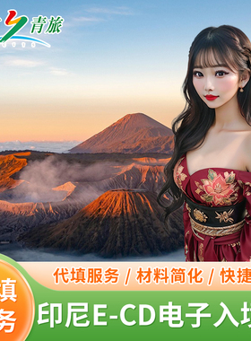 印尼电子入境卡30分钟雅加达代填印度尼西亚泗水巴厘岛入境卡E-CD