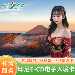 印尼电子入境卡30分钟雅加达代填印度尼西亚泗水巴厘岛入境卡E-CD