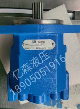 PERMCO泊姆克齿轮泵11610110051采煤机装载机钻机液压泵总成