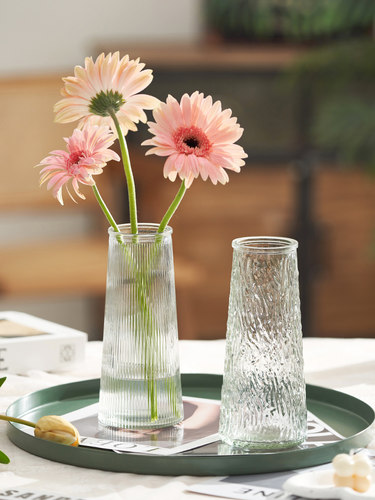 北欧风格玻璃材质材质客厅花瓶