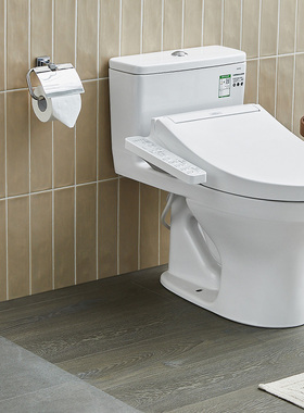 【补贴15%】TOTO智能马桶CW817REB+2F960抗菌除臭座圈加热坐便器