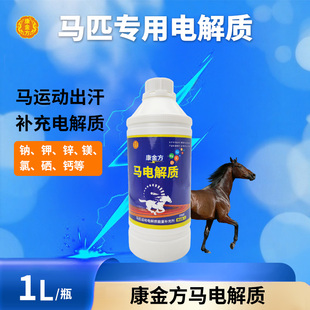 康金方马电解质马术障碍马赛马运动出汗补充矿物质离子饲料添加剂