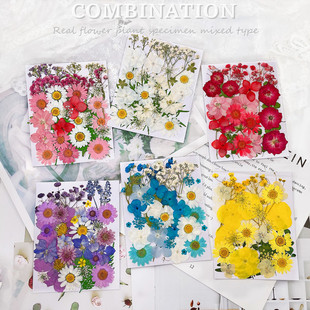 干花压花材料包 diy押花相框书签滴胶手机壳脸部贴花真花植物标本