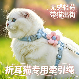 折耳猫专用小猫牵引绳猫咪宠物幼猫防挣脱外出背带遛猫绳子工字型