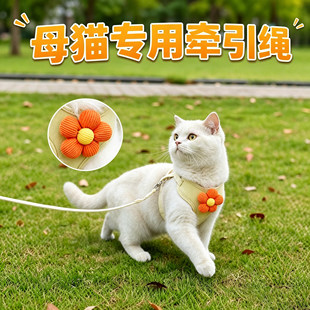 母猫专用小猫牵引绳猫咪宠物幼猫防挣脱外出背带猫用工字型不勒脖